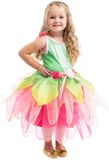 Little Adventures springtime fairy jurk maat m (98-104)