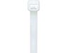 Panduit PLT.6SM-C Kabelbinder 71 mm 1.80 mm Natuur 100 stuk(s)