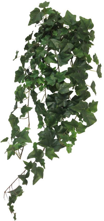 Erutan avon Ivy Chicago hanger L green 86 cm
