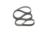 BOSCH Keilrippenriemen 1987947067