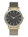 Timex TW2V52300 Horloge - Staal - Goudkleurig - Ø 34 mm