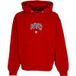Arizona Hoodie pour hommes Jour de jeu Logo Hoodie Arizona Rouge