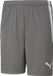 Puma Teamliga Short Heren - Grijs | Maat: 3XL