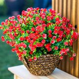 AXYLEX Kunstbloemen, planten voor buiten, 12 bundels, lentegroen, uv-bestendig, vervaagt niet, kunststruiken, tuin, veranda, terras, huisdecoratie, kantoor, binnen, rood