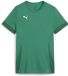Puma Dames Teamgoal Matchday-shirt Wmns 705749