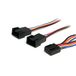 StarTech.com Y-kabel voor ventilator 30cm - 4-pins PWM splitterkabel - stroomverdelingskabel - 1 x Molex ventilator (bus) naar 2 x Molex (stekker), 12 inch
