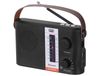 Trevi RA 7F25 BT Radio portable Analogique & Numérique Noir