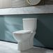 Hudson Reed Toilette Duoblok Moderne avec Abattant Doux et Bouton de Chasse d'Eau Chromé | Easton