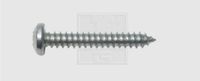 SWG Plaatschroeven 3.9 mm 19 mm Kruiskop Phillips DIN 7981 Staal Verzinkt 100 stuk(s)