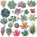 Unyqoos® Set de 20 Succulentes Artificielles Réalistes