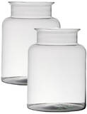 Home-basics Vaas - 25 x 19 cm - Transparant - 2 stuks