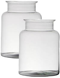 Home-basics Vaas - 25 x 19 cm - Transparant - 2 stuks