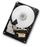 HGST Ultrastar 7K4000 4TB Interne Harde Schijf