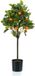 Emerald - Kunstboom sinaasappel 75cm - Kunstplant voor binnen