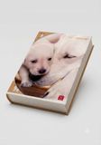 Dagboek, Pigna Dagboek, 12 maanden, schattige puppy's, datum vrij, thema hond
