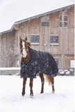 RIDING WORLD Oxford waterdichte deken, 220 gram, zwart, ruglengte 145 cm