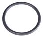 Gardena O-Ring 1"