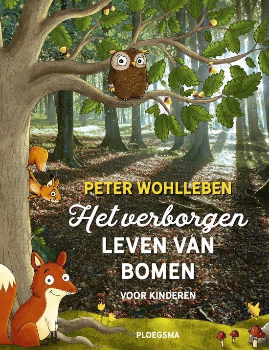 Het Ploegsma Het verborgen leven van bomen voor kinderen