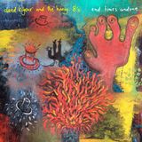 Konkurrent David Kilgour & The Heavy Eights - End Times Undone (CD)