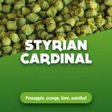 Houblon Styrian Cardinal 5 kg