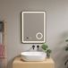 pro.tec Miroir Pescara avec éclairage LED 70x50x4 cm noir