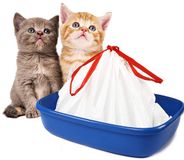 Bilieasy Grands Sacs pour Litière pour Chat avec Cordon de Serrage, Sacs Anti-Rayures pour Litières pour Chat de Taille Moyenne et Grande, 10 Pièces (L 10 Pièces)