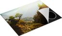 Chefcare Inductie Beschermer Bos in de Bergen met Zonneschijn - 77x59 cm - Multicolor