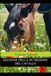 Gestione Icecat Gestione della nutrizione del cavallo