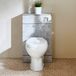 Hudson Reed Meuble WC avec cuvette Select - Gris béton - 50 cm - Bouton de chasse d'eau chromé - Cluo