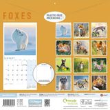 CAROUSEL CALENDARS Vossen Kalender 2027
