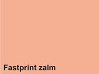 Fastprint Kopieerpapier A4 120gr zalm 250vel