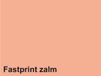 Fastprint Kopieerpapier A4 120gr zalm 250vel