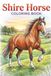 Shire Horse Coloring Book: Elegant Equine Designs for Relaxing Coloring Fun