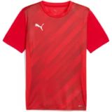 Puma Jersey teamGoal Graphic