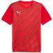 Puma Jersey teamGoal Graphic