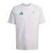 ADIDAS PERFORMANCE Tricot 'Algerien Tiro Travel' gris / vert / noir / blanc