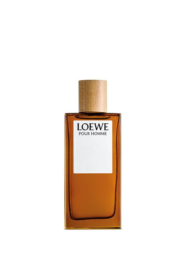 Loewe Pour Homme / 100 ml / Men