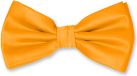 Best Noeud papillon – Jaune – Satin – Polyester – Pré-noué – Cadeau