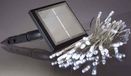 Hellum 540215 Lichtdecoratie ketting Zwart/Transparant 50 LED lampen Wit Zonne-energie