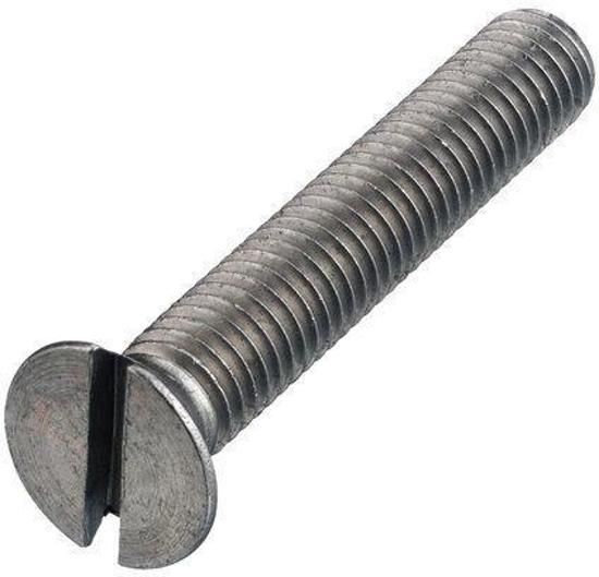 Hoenderdaal metaalschroef rvs pk m 6 x 70 mm din 963 a2