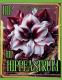 Hip Hip Hippeastrum! Encyklopedia ze zwartnicami (amarylisami) od A do Y do kolorowania: książka botaniczna