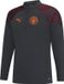 PUMA MCFC Training 1/4 Zip Top Hommes Sweat de sport - Gris - Taille S
