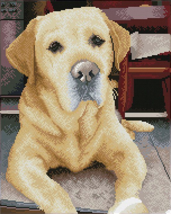 DIAMOND DOTZ® Needleart World Ltd diamant painting - labrador - 48x58cm - squares