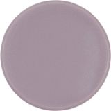 Magneet magnetoplan Ronde magneet Basic 24 mm grijs