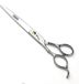 Bol 75 inch roestvrij staal schaar voor huisdierverzorging voor hond en kat styling - Cutting scissors