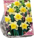 Baltus - Bollen Narcis Lobularis 15 stuks
