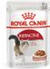 Royal Canin Instinctive - 12 x 85 g - Kattenvoer