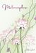 Metamorphose
