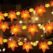 Éclairage d'automne avec citrouilles et feuilles d'érable, 3 mètres, 20 LED