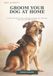 Groom Independently Published Groom Your Dog at Home